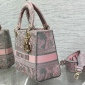 Replica Mini Lady D-Lite Bag Pink and Gray Toile de Jouy Sauvage Embroidery