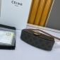 Replica Brown, Pattern Print Celine Triomphe Canvas Tabou Clutch