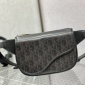 Replica Dior World Tour Handbags