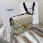 Replica Celine Triomphe Bag in Shiny Calfskin