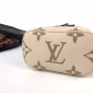 Replica Louis Vuitton Coussin Pm Price Increased