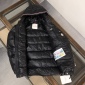 Replica Moncler 2023ss new arrivals down jacket