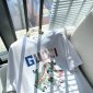 Replica Gucci X Freya Hartas ICCUG Animal Print T-Shirt white