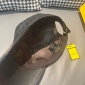 Replica Fendi double F Presbyterian leather baseball cap