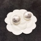 Replica CHANEL Brushed silver stud earrings