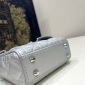 Replica DIOR Fancy silver sheepskin handbag