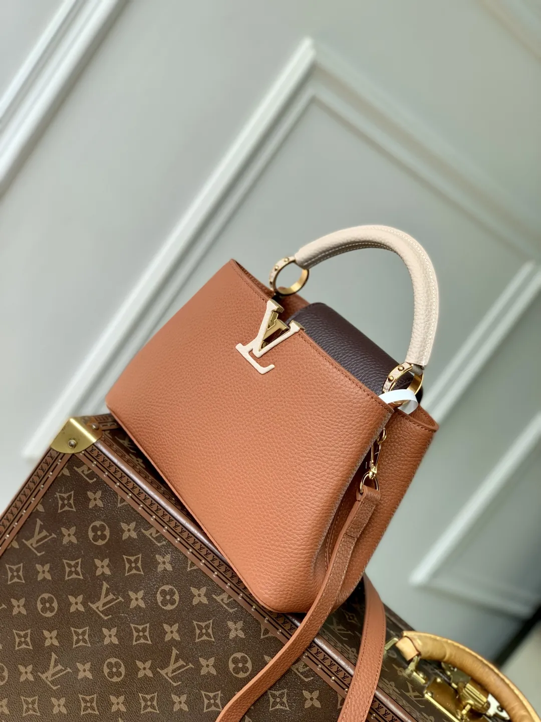 Louis Vuitton カプシーヌ ミニ トリコロール - 画像 (3)