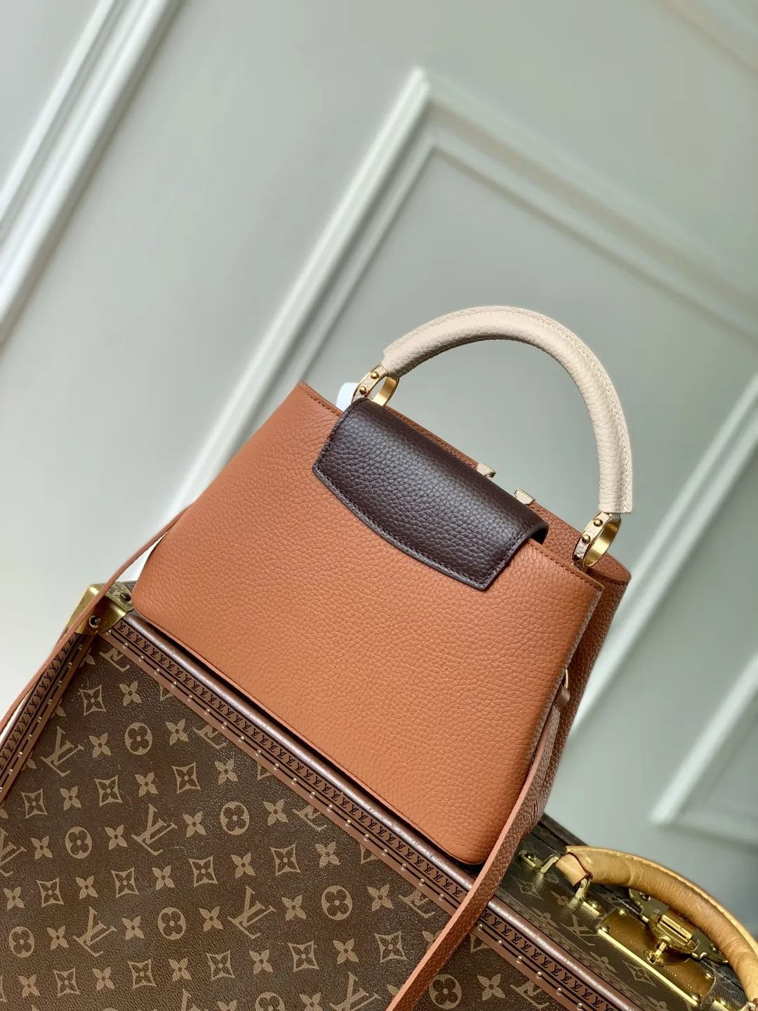 Louis Vuitton カプシーヌ ミニ トリコロール - 画像 (4)
