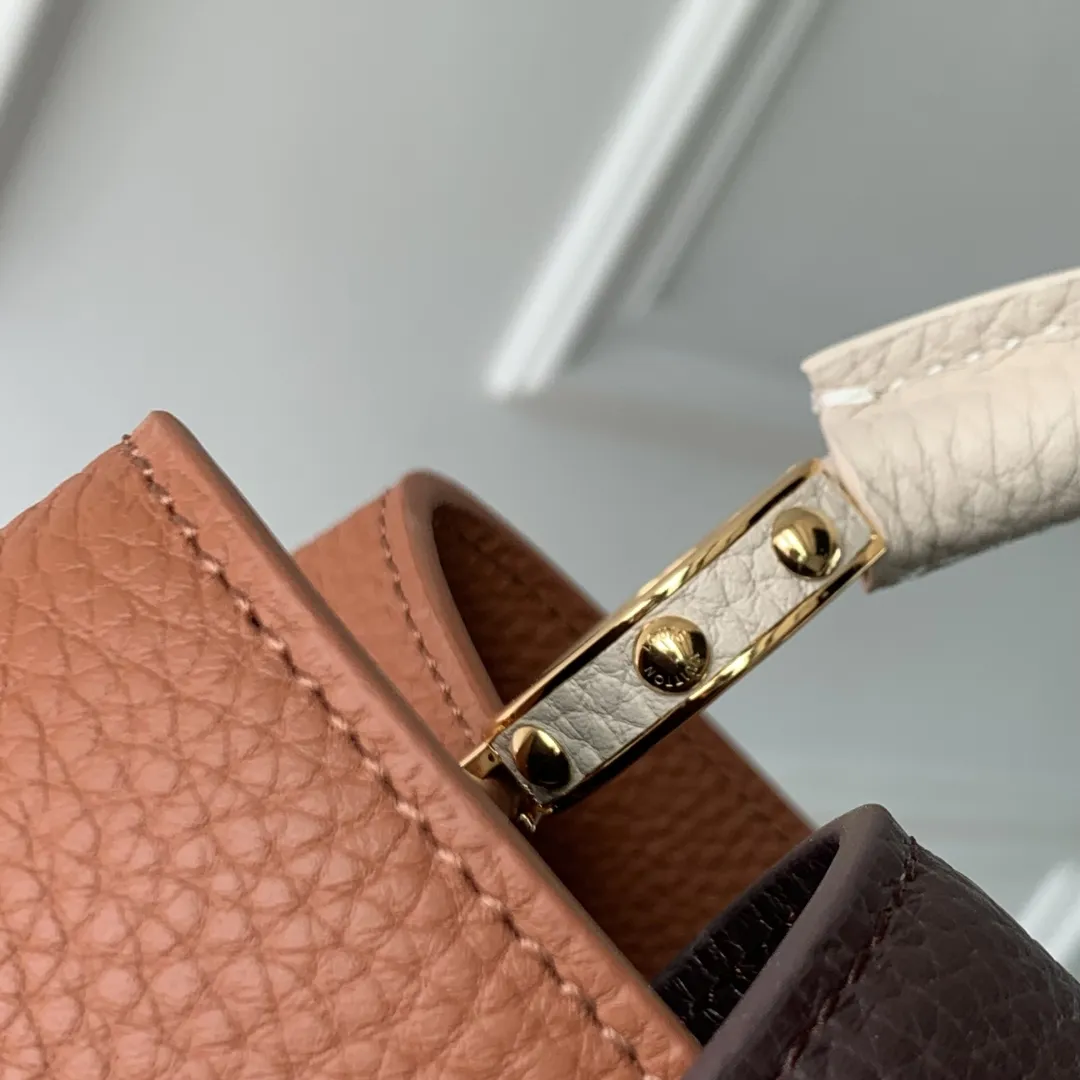 Louis Vuitton カプシーヌ ミニ トリコロール - 画像 (8)