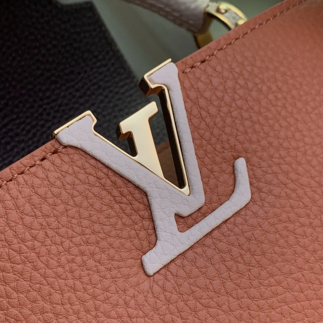 Louis Vuitton カプシーヌ中サイズ トリコロール - 画像 (7)