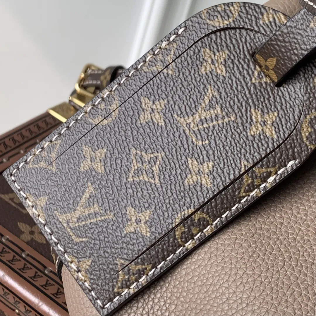 Louis Vuitton エレファントグレー ソフトバッグ - 画像 (8)
