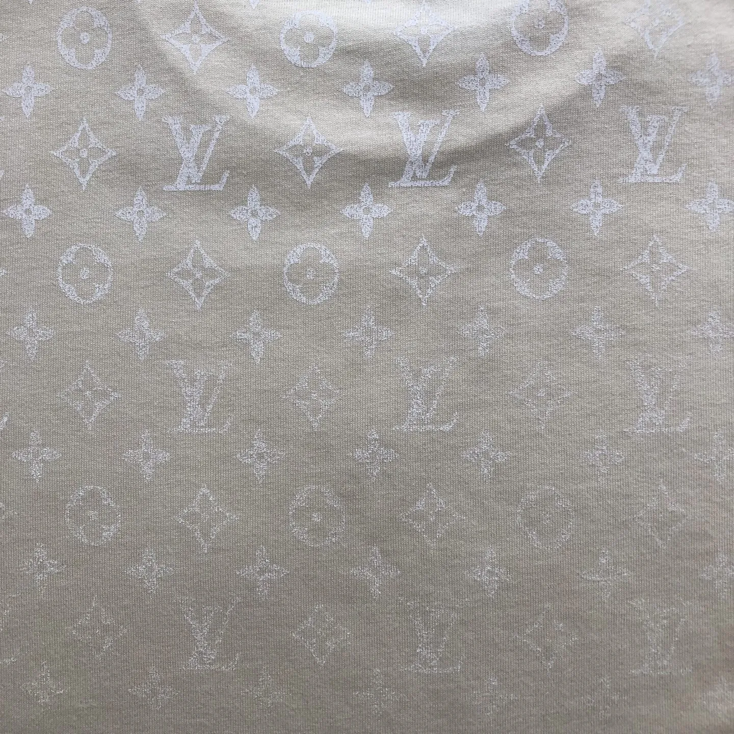 LOUIS VUITTON ベージュ MONOGRAM GRADIENT Tシャツ - 画像 (9)