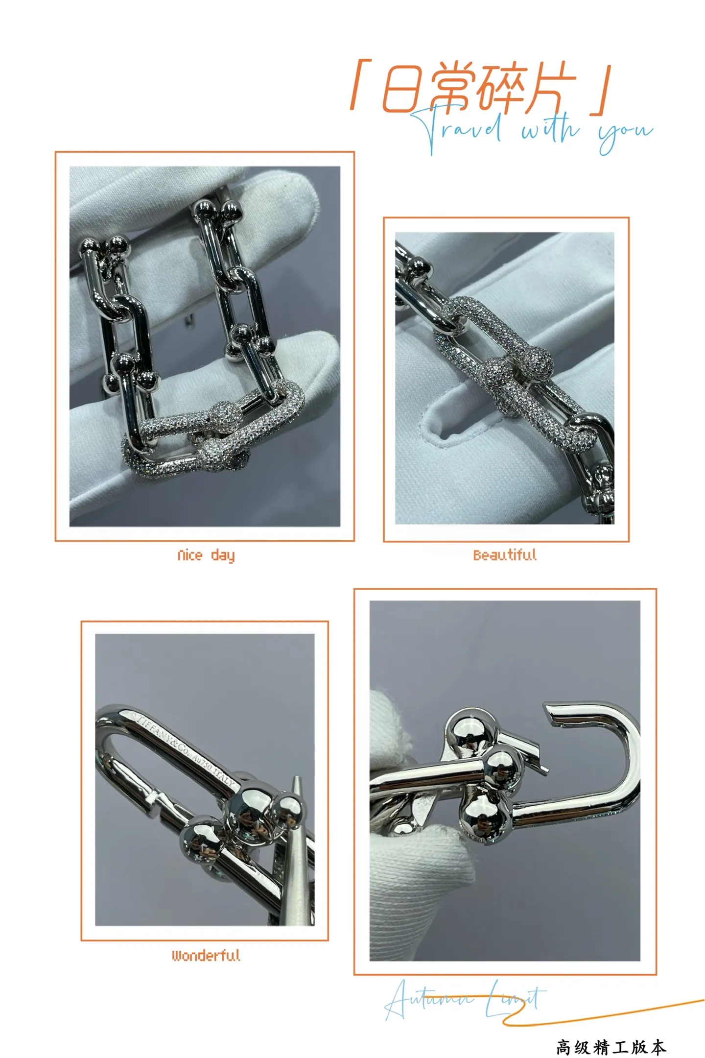 Tiffanyティファニー 新作 黒 ブレスレット 豚の鼻 - 画像 (10)