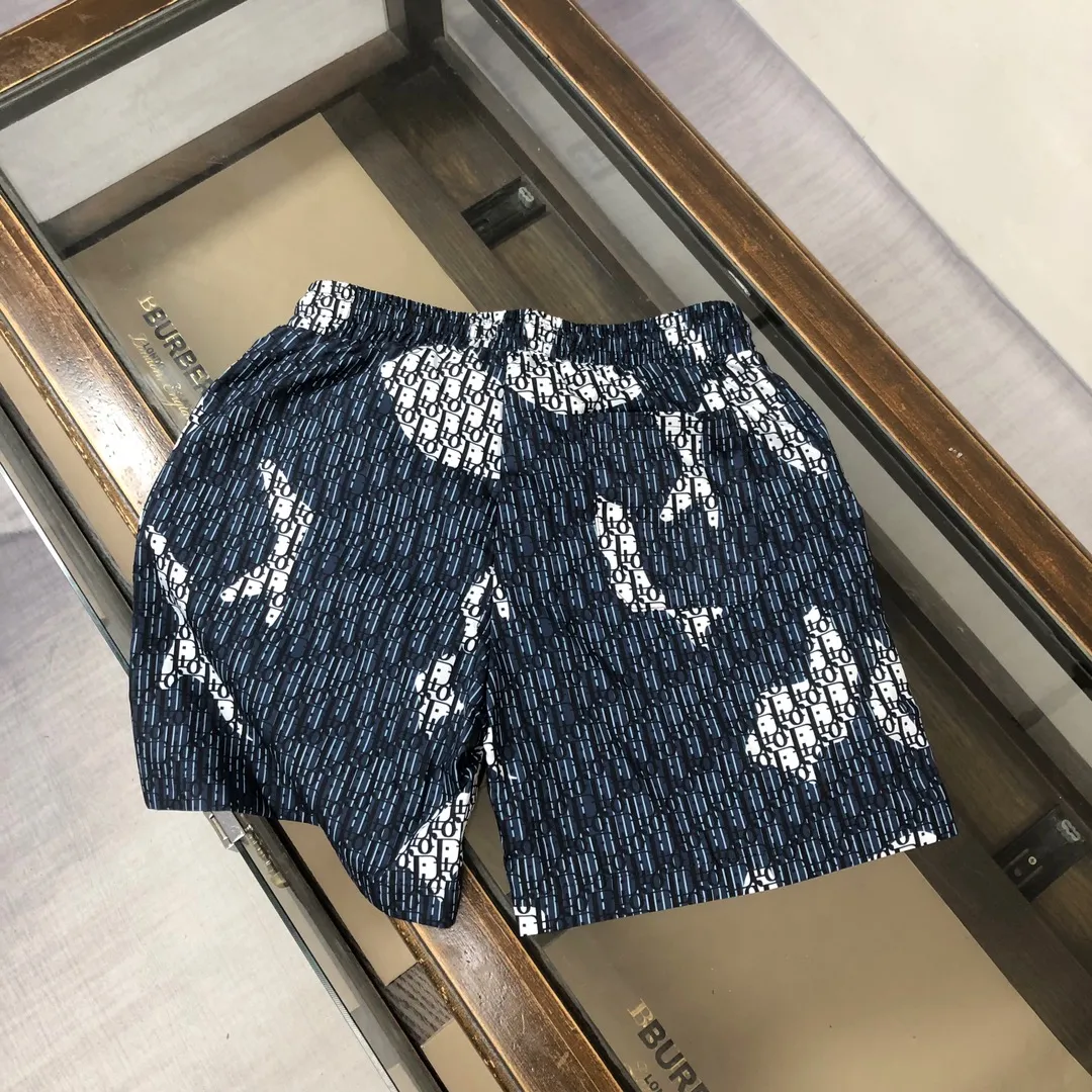 DIOR 2025新款ビーチショーツ カモフラージュ M-3XL - 画像 (9)