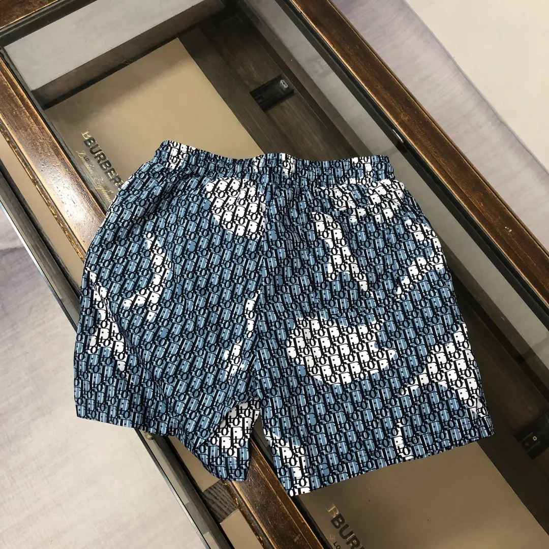 DIOR 2025新作ビーチショーツ ブルー柄 M-3XL - 画像 (9)