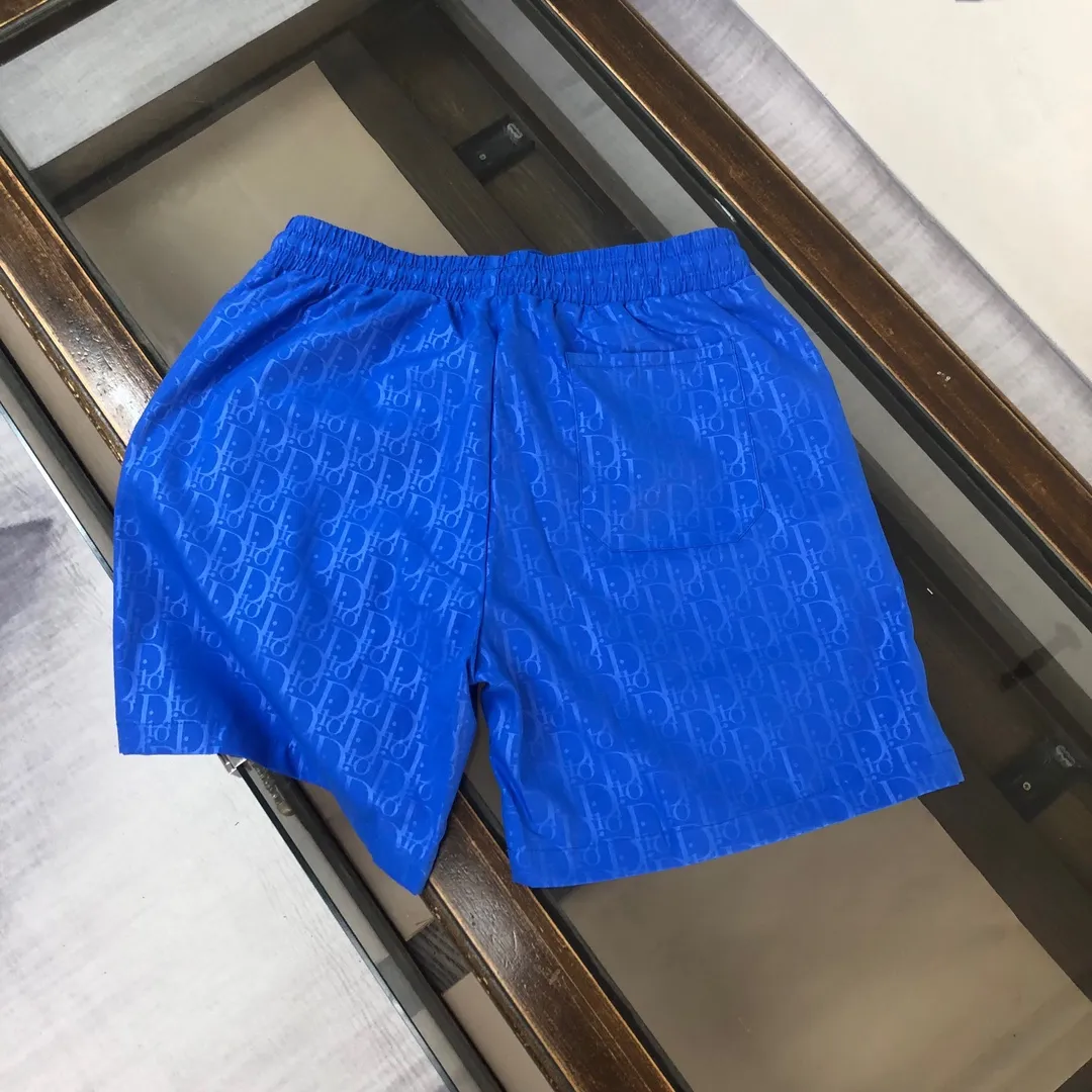 DIOR 2024新款ブルーショーツビーチパンツ - 画像 (9)