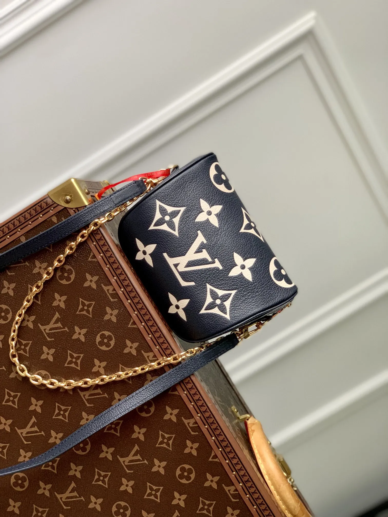 LOUIS VUITTON ネイビー ファニーパック M46917 - 画像 (4)