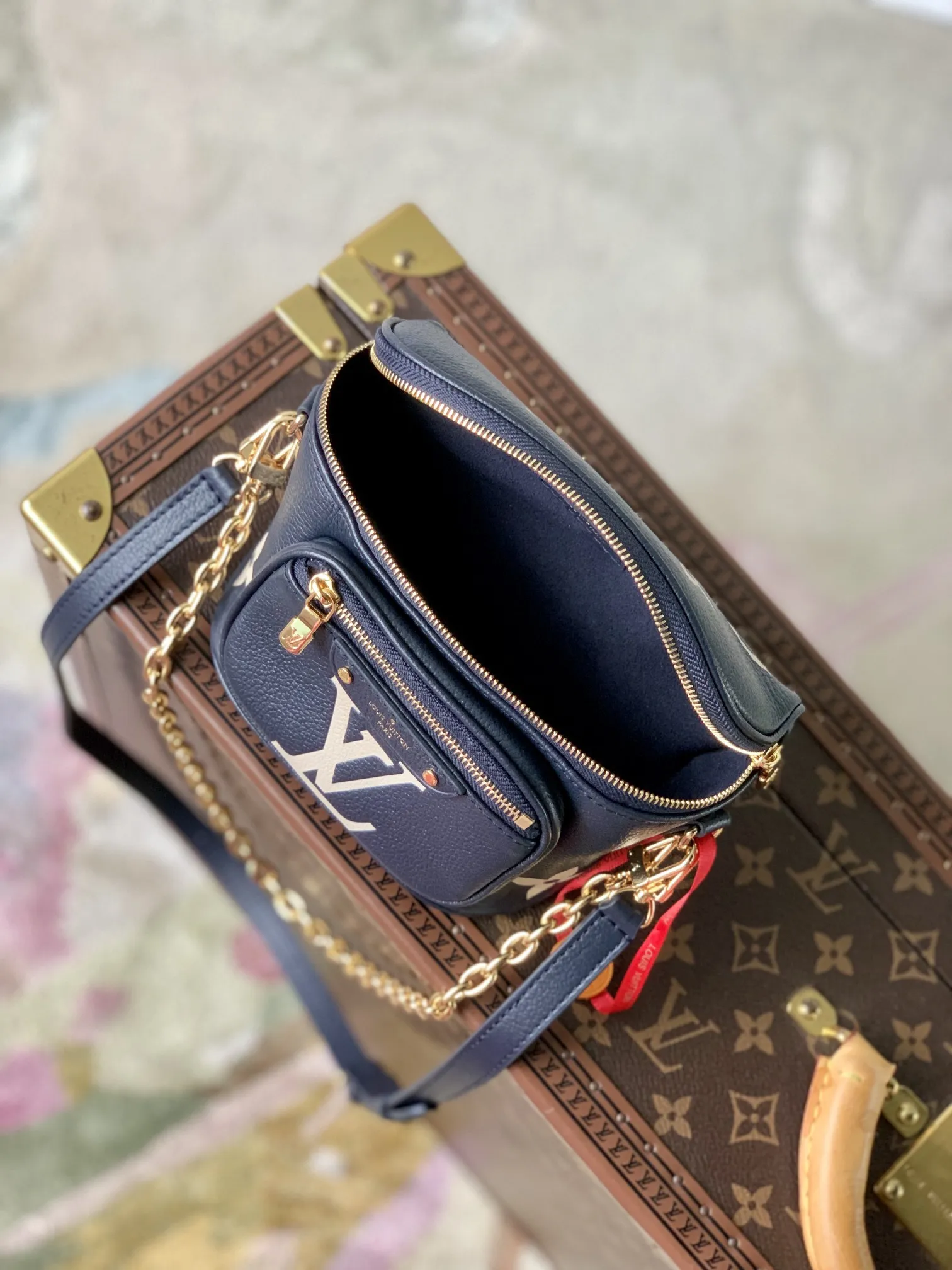 LOUIS VUITTON ネイビー ファニーパック M46917 - 画像 (10)
