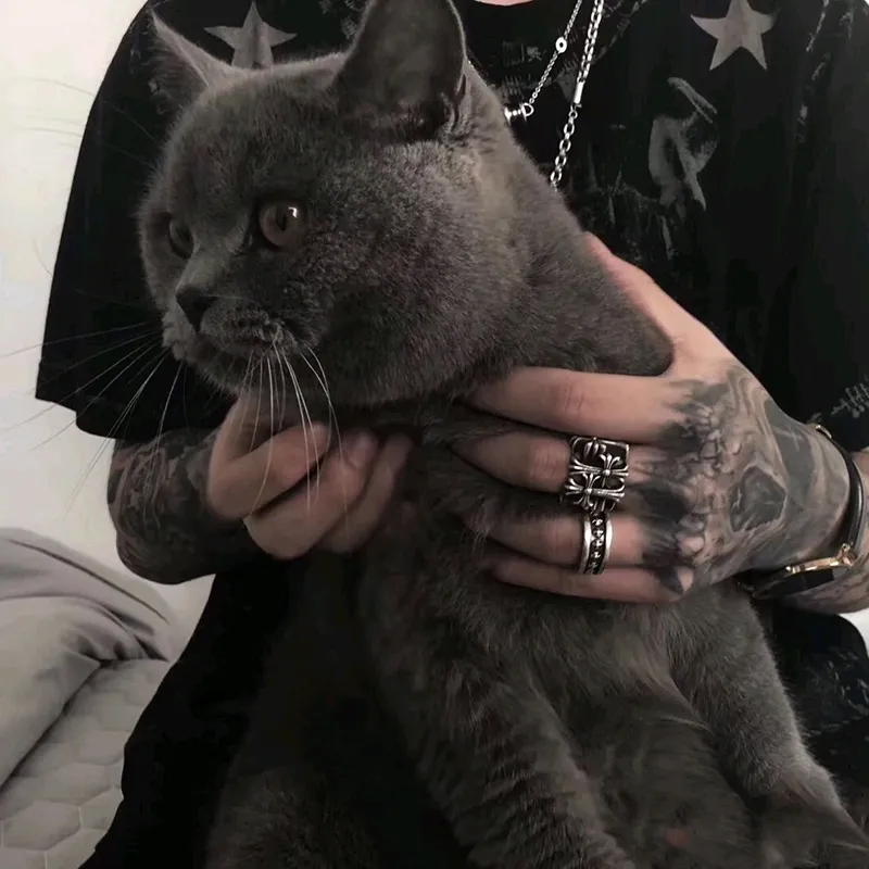 クロスハートmini plusリング シルバー スタイル - 画像 (10)