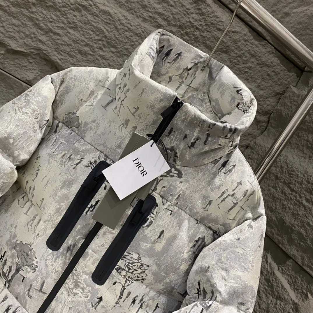 DIOR ピーター・ドイグコラボ ダウンジャケット ホワイト - 画像 (7)