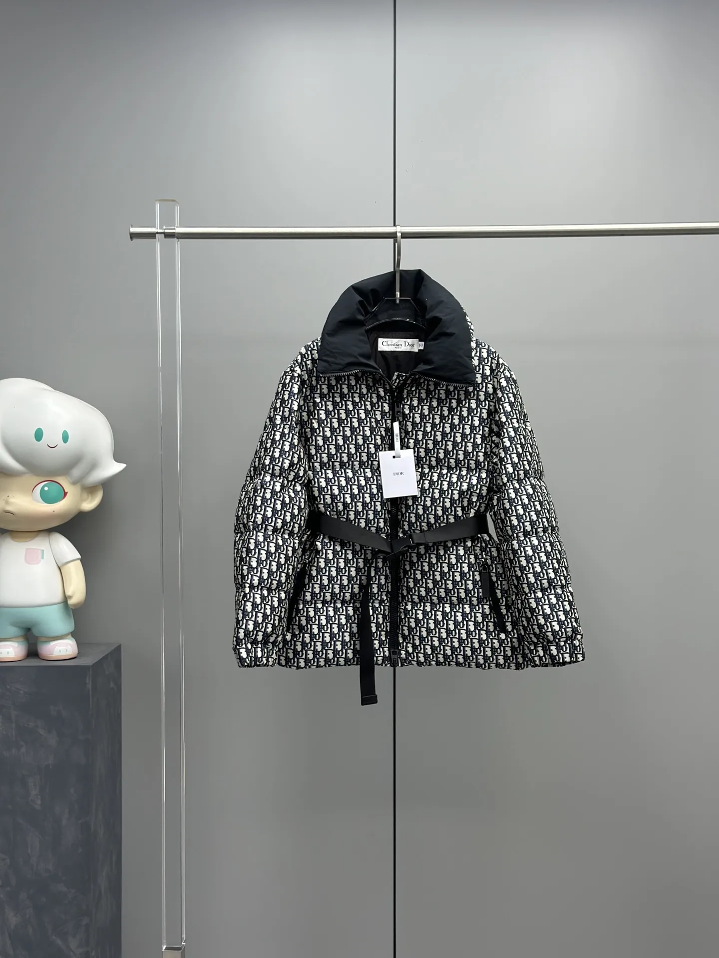 Christian Dior 限定アプススキーシャーリーズダウンジャケット