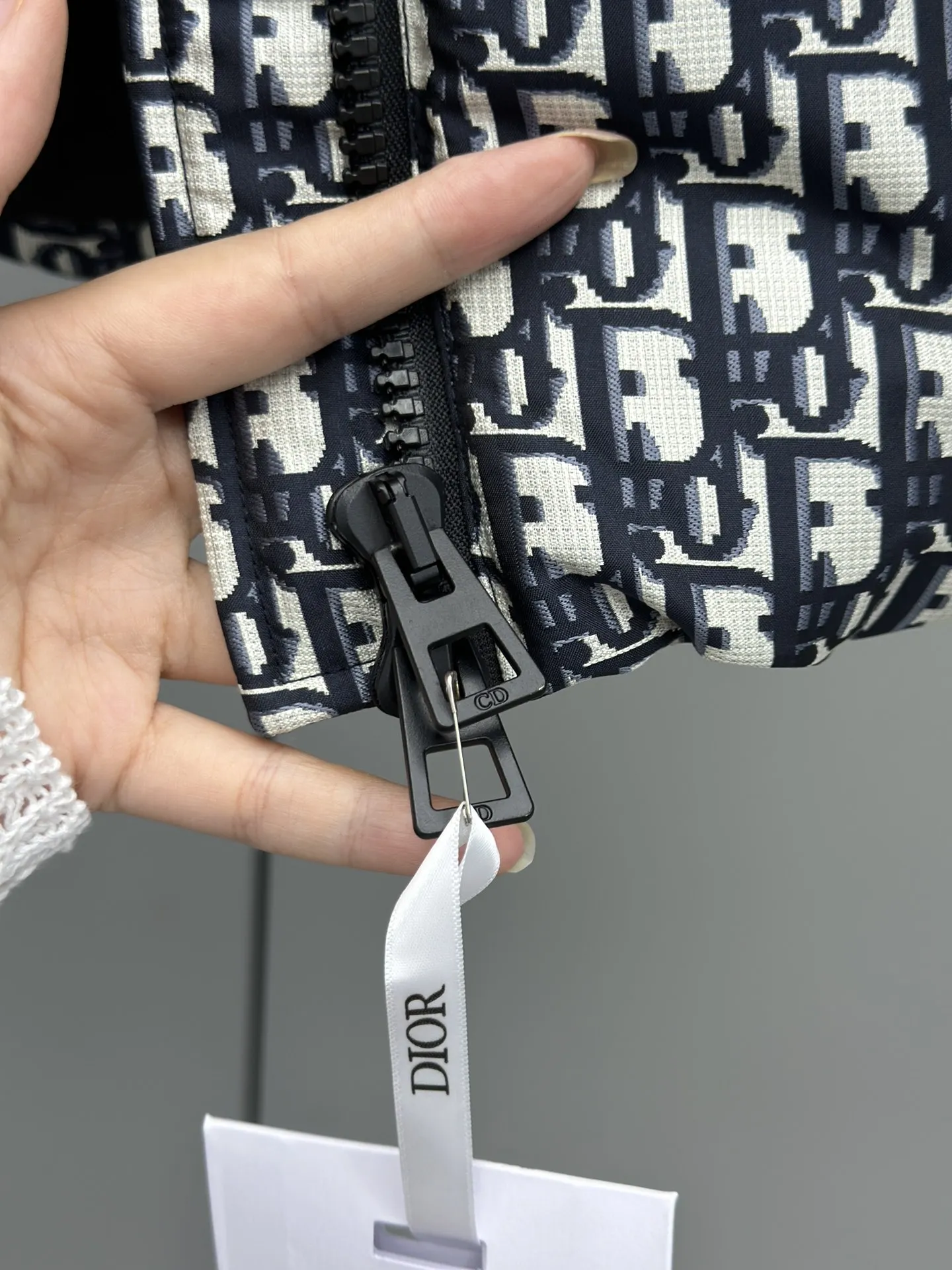 Christian Dior 限定アプススキーシャーリーズダウンジャケット - 画像 (7)