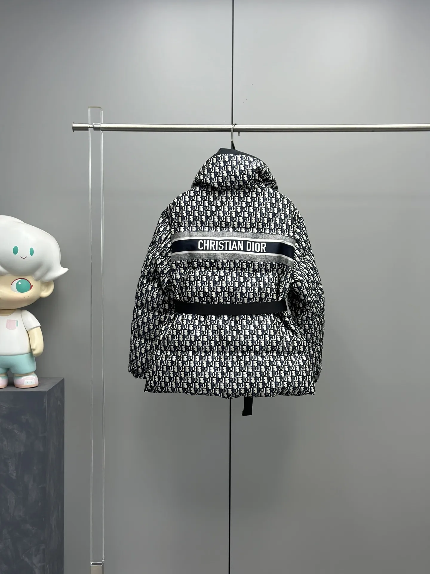 Christian Dior 限定アプススキーシャーリーズダウンジャケット - 画像 (10)