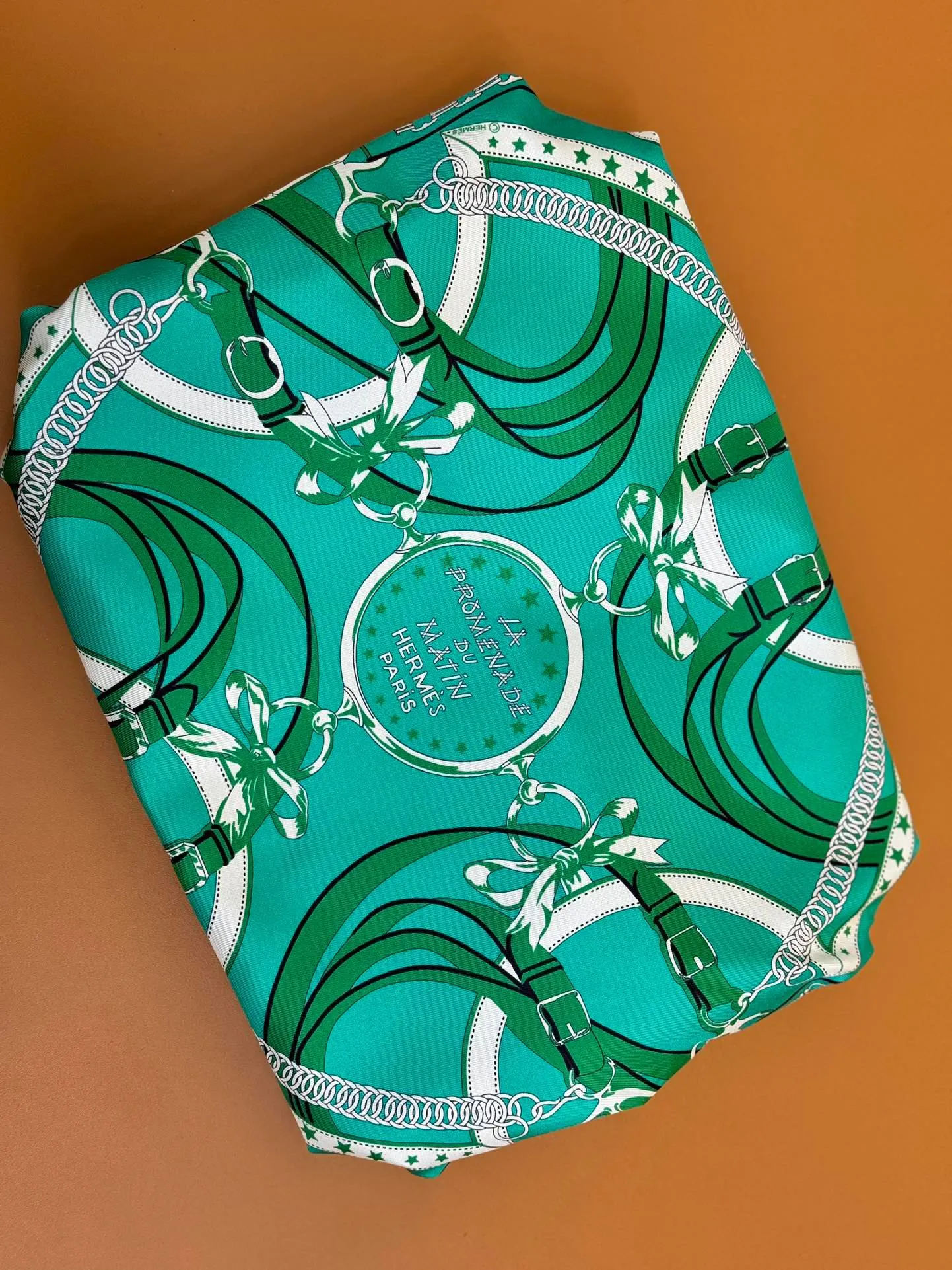 Hermès Balusoie グリーン シルクスカーフバッグ - 画像 (6)