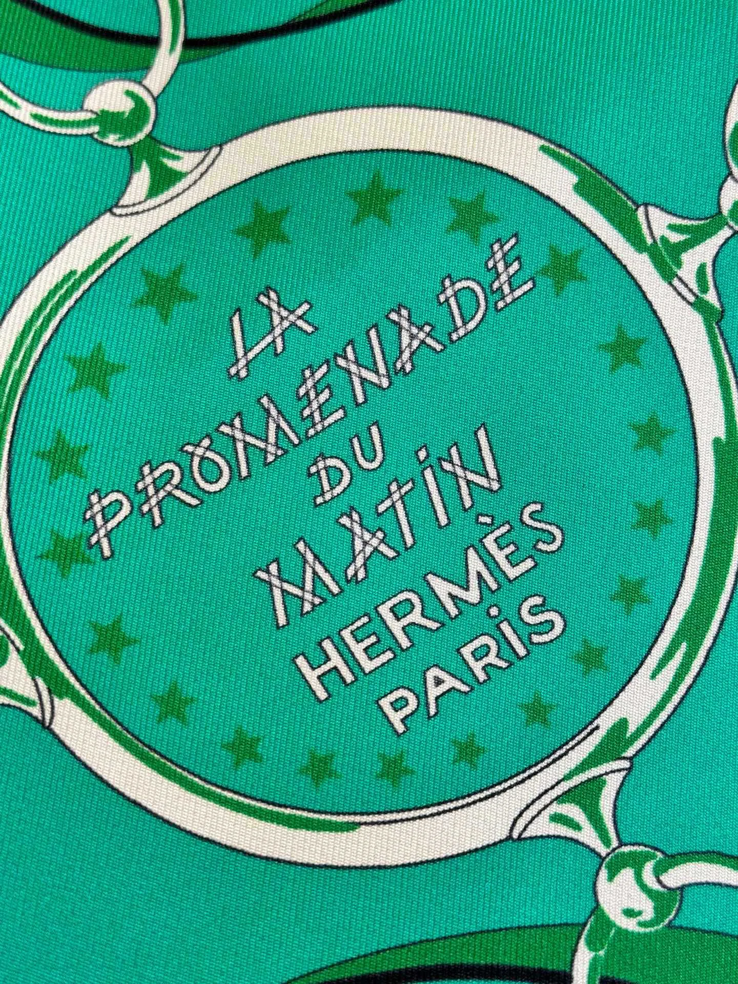 Hermès Balusoie グリーン シルクスカーフバッグ - 画像 (10)