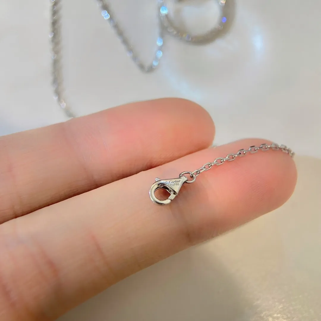 Cartier 純銀ダイヤモンドネックレスシルバー - 画像 (9)