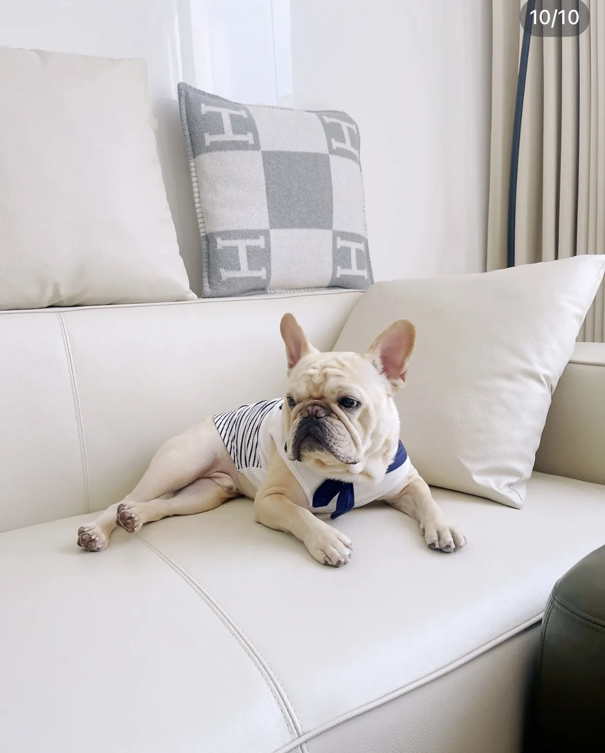 Hermès Avalon グレー チェック柄 抱き枕 - 画像 (7)