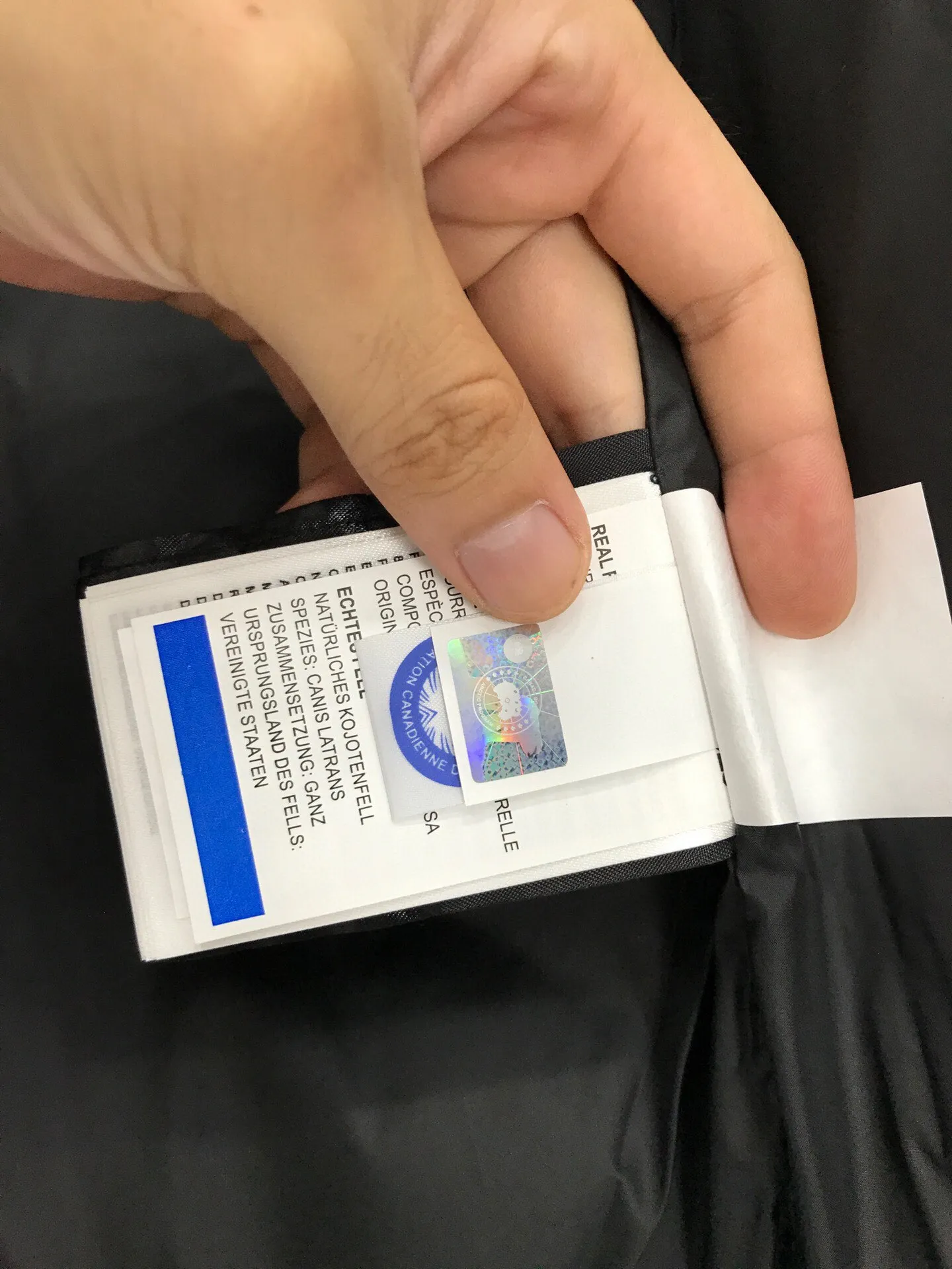 カナダグース マクミラン パーカー ベージュ ショート - 画像 (9)