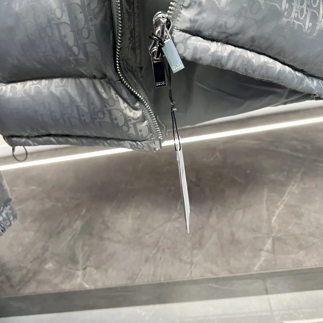 ディオール オブリーク ダウンジャケット シルバー スタンドカラー - 画像 (10)
