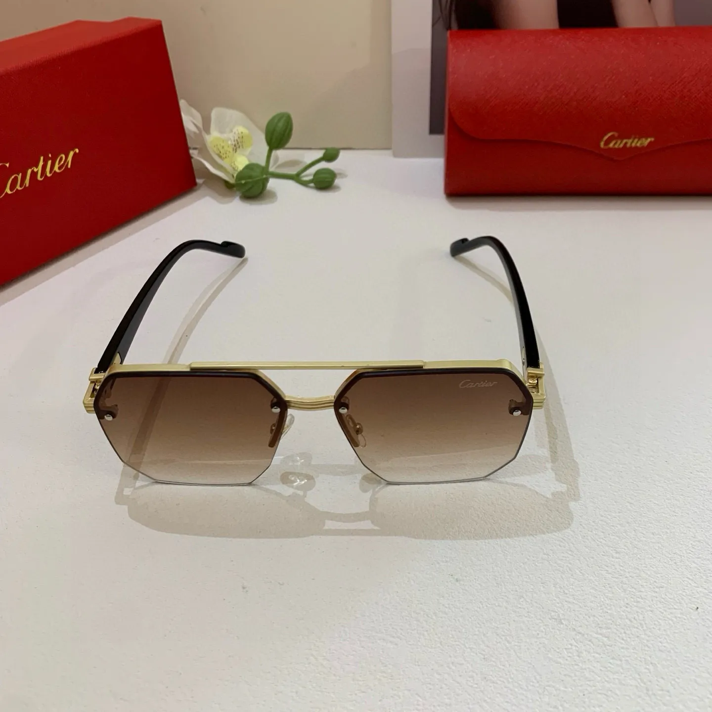 カルティエ新作黒アークサングラス - 画像 (6)