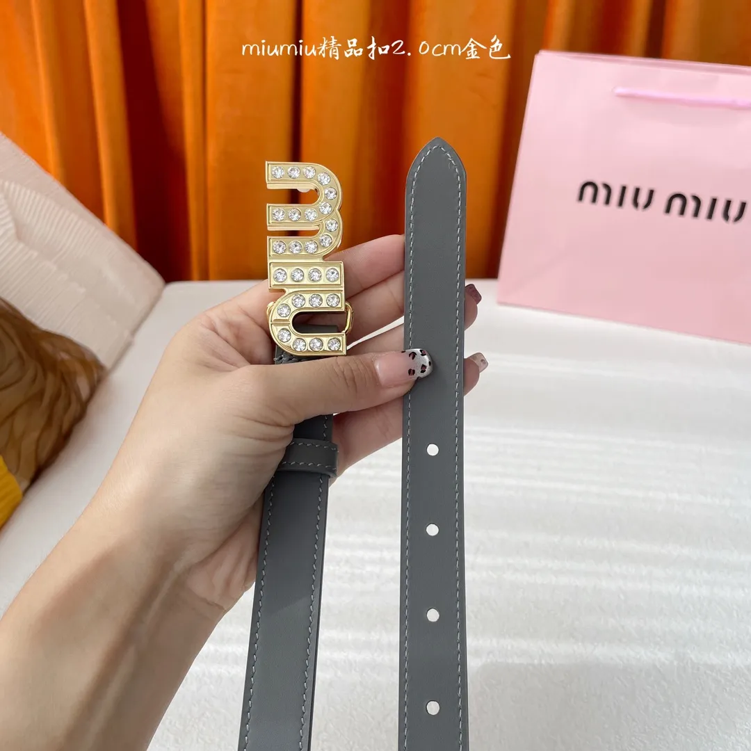 Miu Miu グレー レザーベルト クリスタルバックル - 画像 (5)