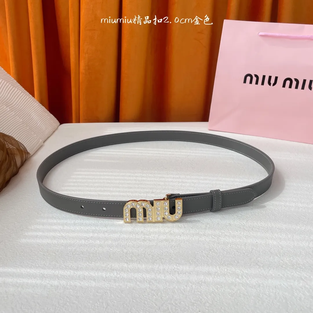 Miu Miu グレー レザーベルト クリスタルバックル - 画像 (6)