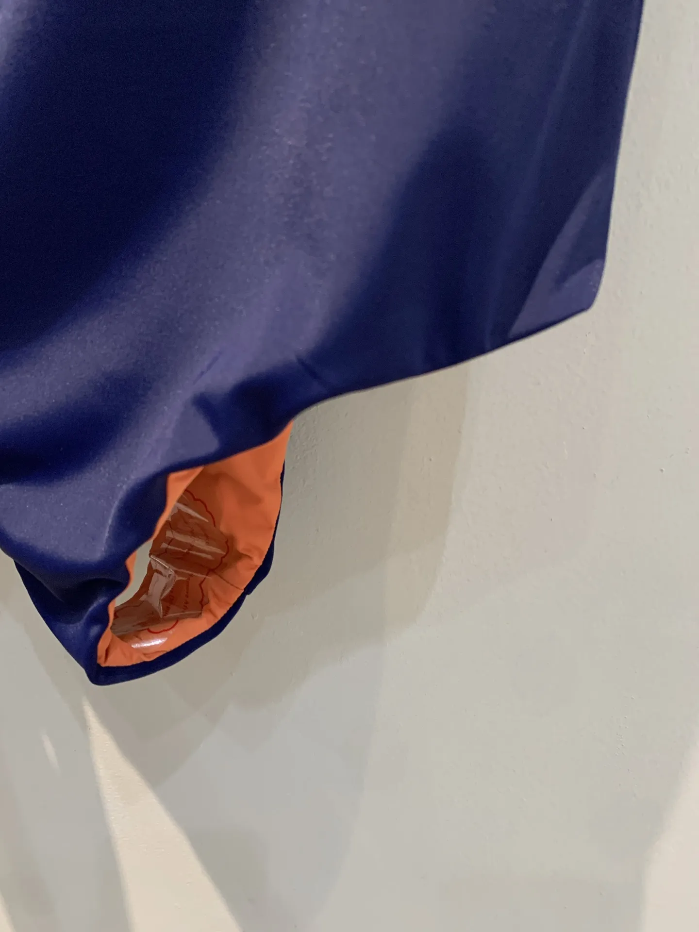 Prada 新作水着 - 画像 (7)