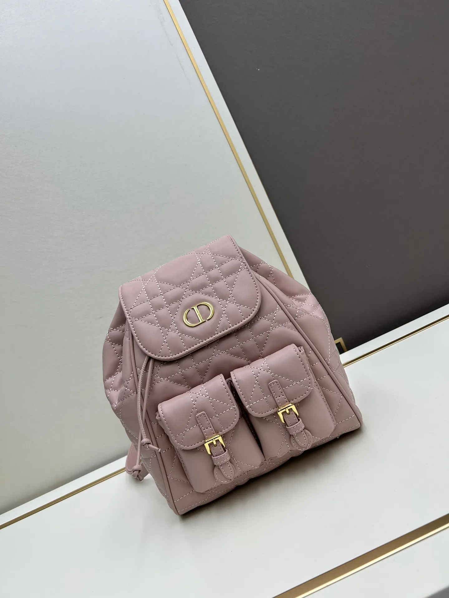 DIORディオル ピンク カノピーバックパック - 画像 (3)