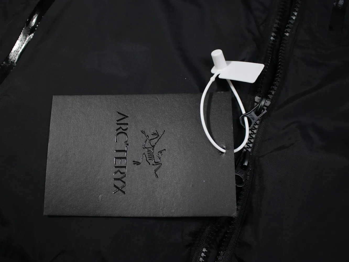 Arc'teryx Alpha Parka Black Down Jacket - Image 8