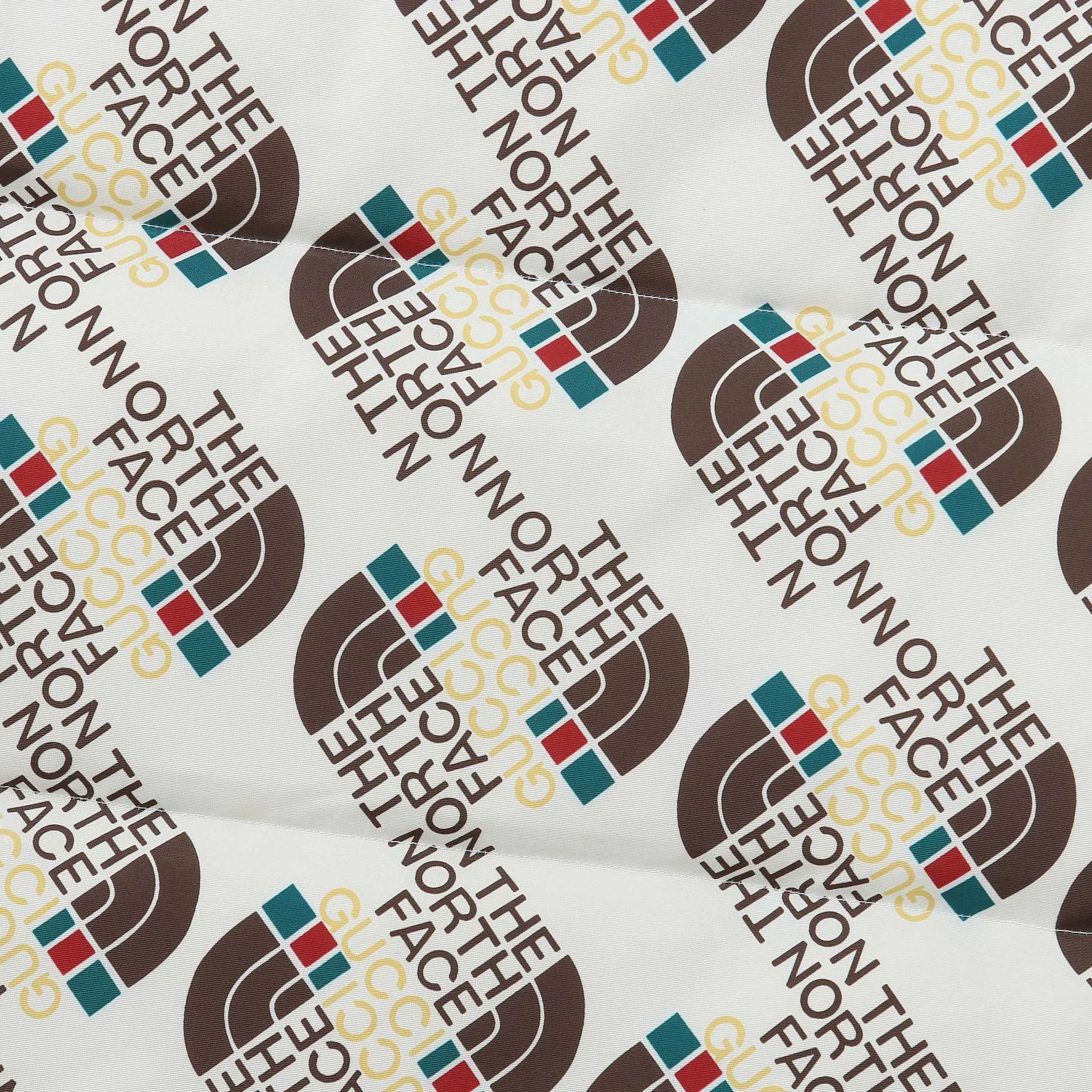 THE NORTH FACE x GUCCI Down Vest White - Image 9