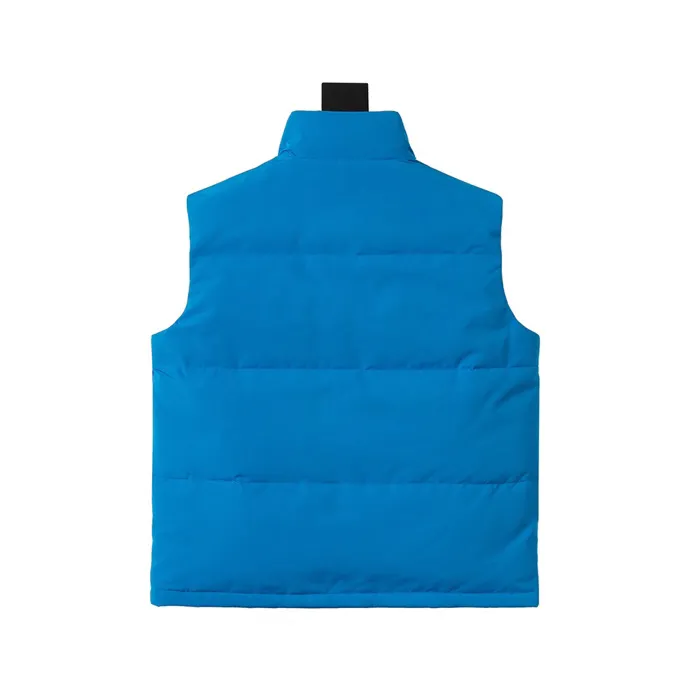THE NORTH FACE x GUCCI Down Vest Blue - Image 3