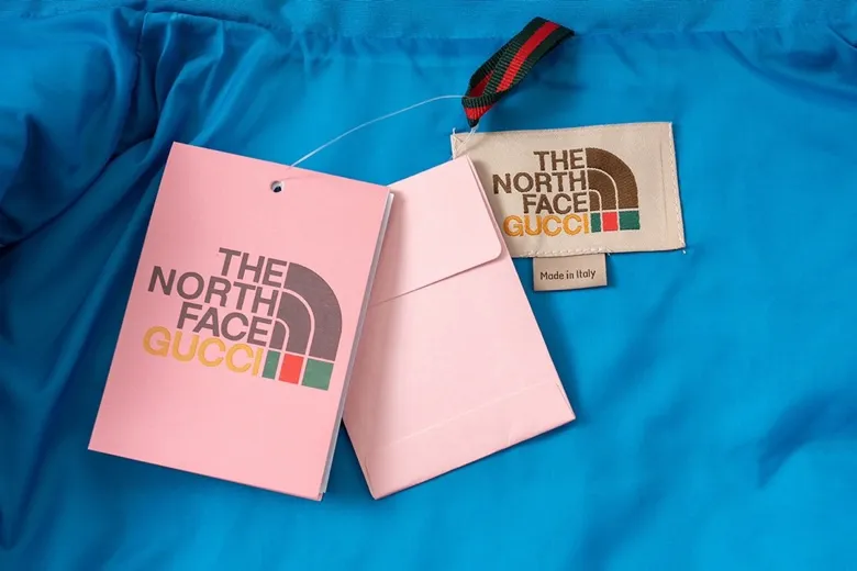 THE NORTH FACE x GUCCI Down Vest Blue - Image 4