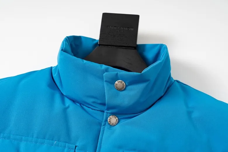 THE NORTH FACE x GUCCI Down Vest Blue - Image 5