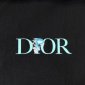 Replica Dior CD 2022 NEW JARDIN Loose fit T-shirt