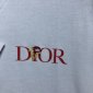 Replica Dior CD 2022 NEW JARDIN Loose fit T-shirt