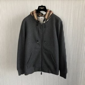 BURBERRY 2022FW new arrival hoodies TS22929045