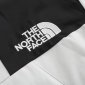 Replica The North Face TNF 2022 new down jacket TNF1021015