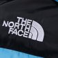 Replica The North Face TNF 2022 new down jacket TNF1021013