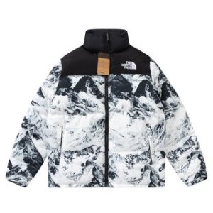 The North Face TNF 2022 new down jacket TNF1021010