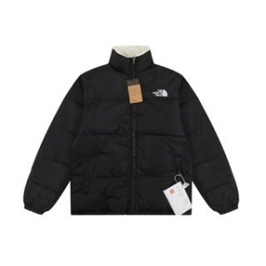 The North Face TNF 2022 new down jacket TNF1021008